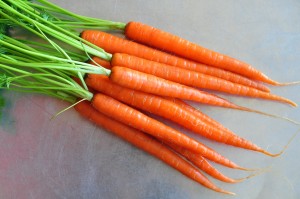 carrot