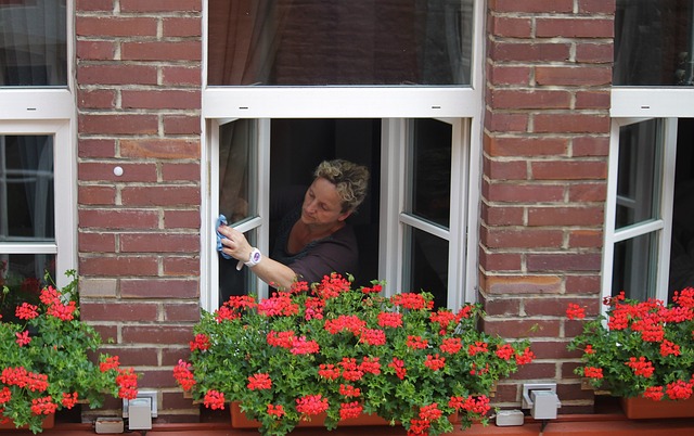 washing-windows-394158_640
